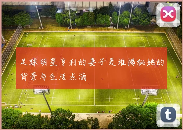足球明星亨利的妻子是谁揭秘她的背景与生活点滴