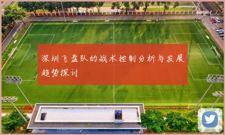 深圳飞盘队的战术控制分析与发展趋势探讨